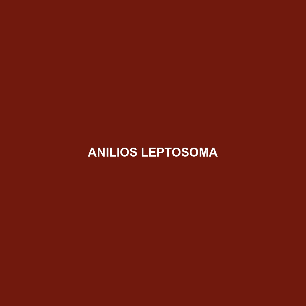 Anilios leptosoma