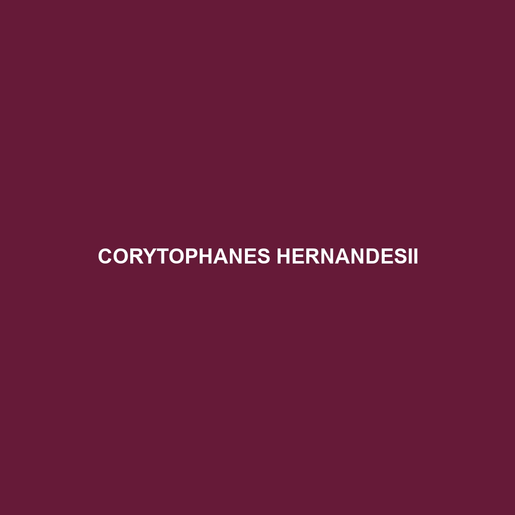 Corytophanes hernandesii