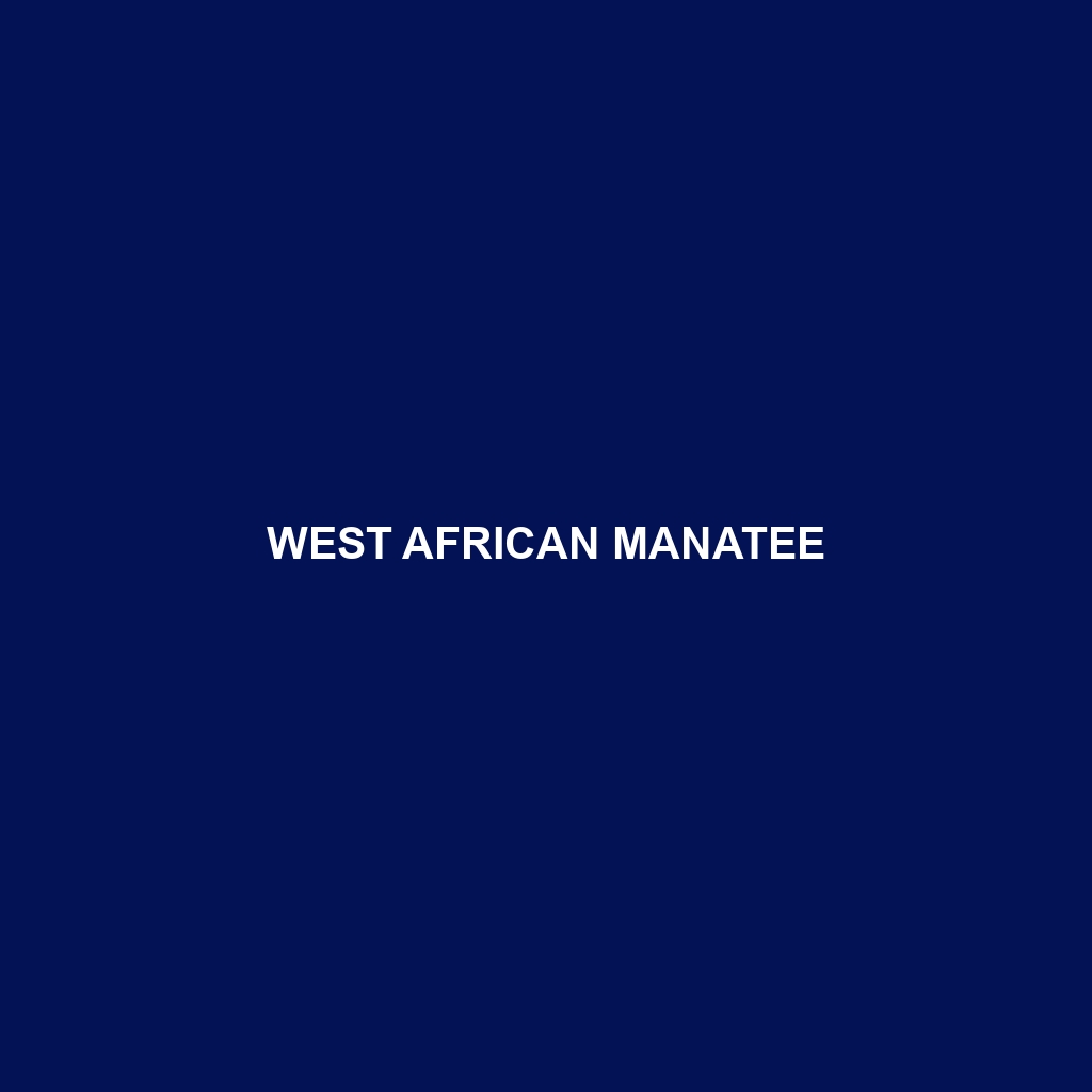 West African Manatee