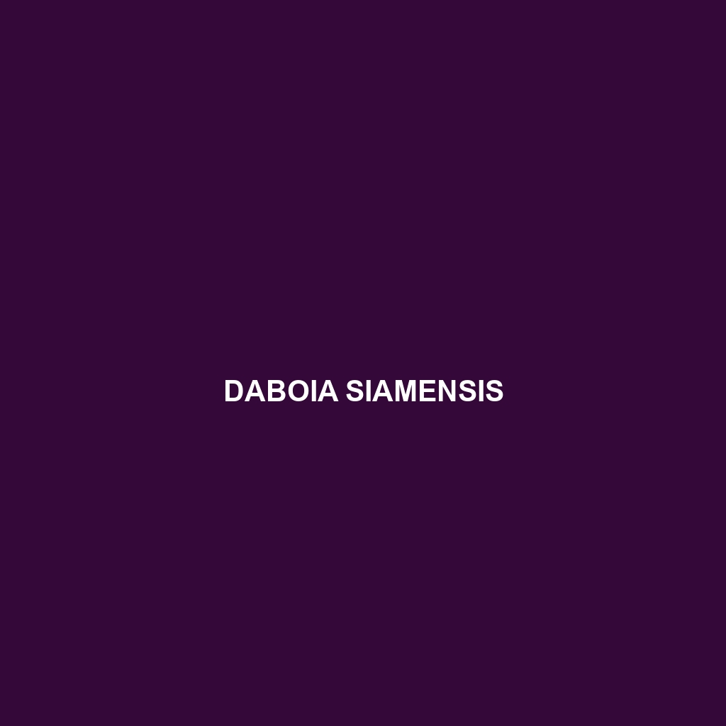 Daboia siamensis