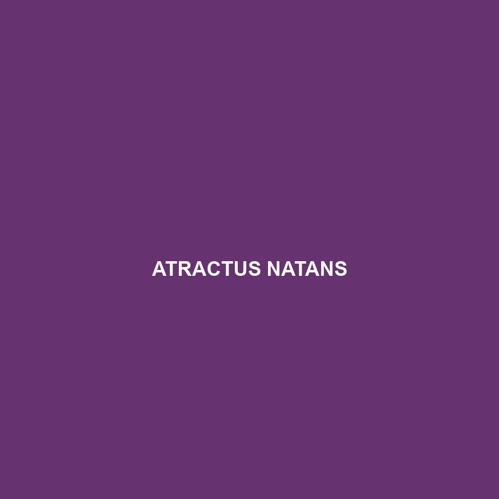 Atractus natans