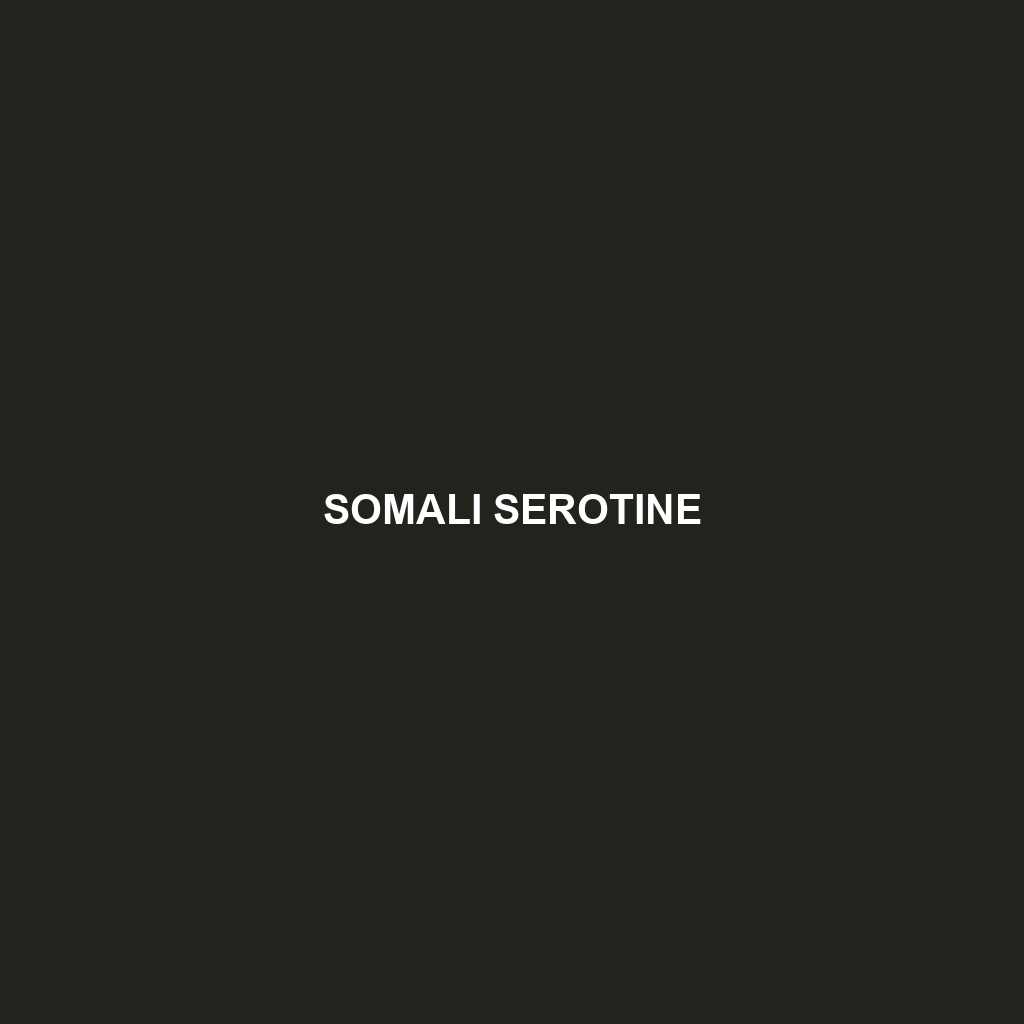 Somali Serotine