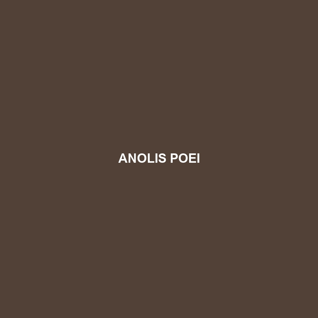 Anolis poei