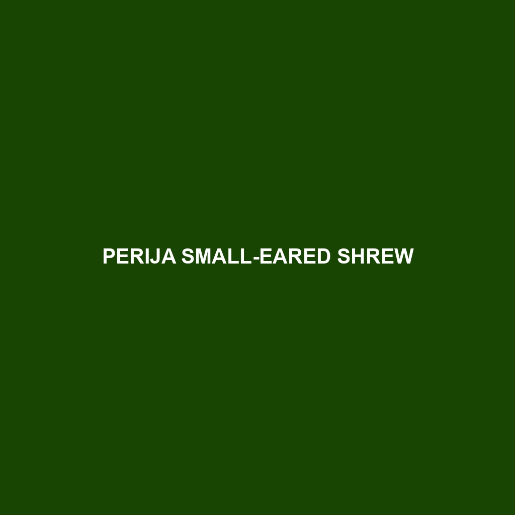 Perija Small-eared Shrew