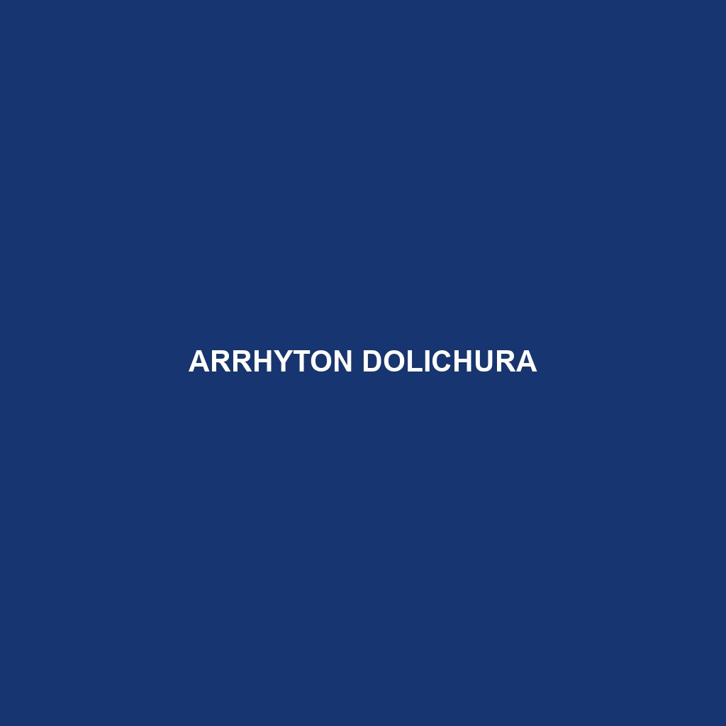 Arrhyton dolichura