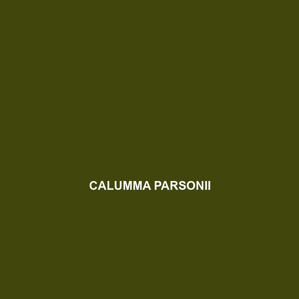 Calumma parsonii