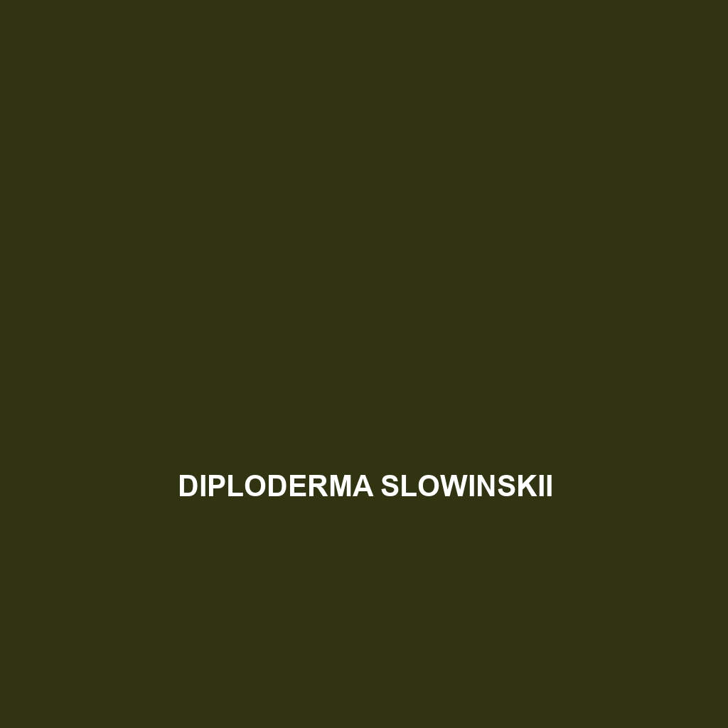 Diploderma slowinskii