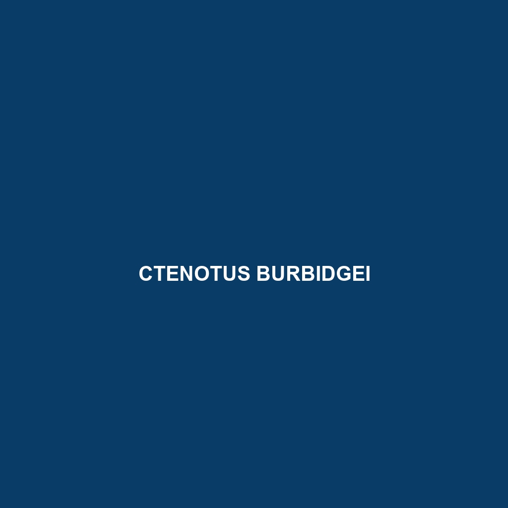 Ctenotus burbidgei