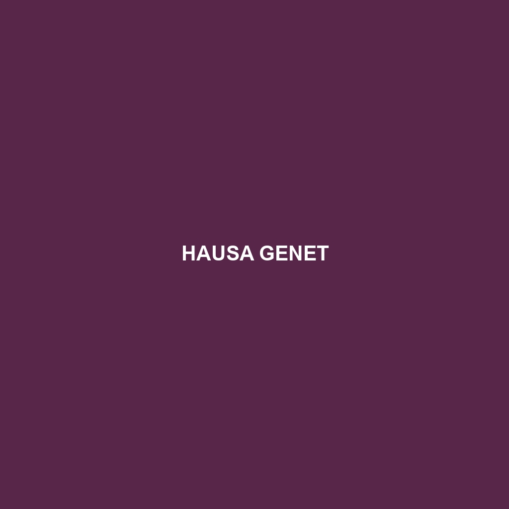 Hausa Genet