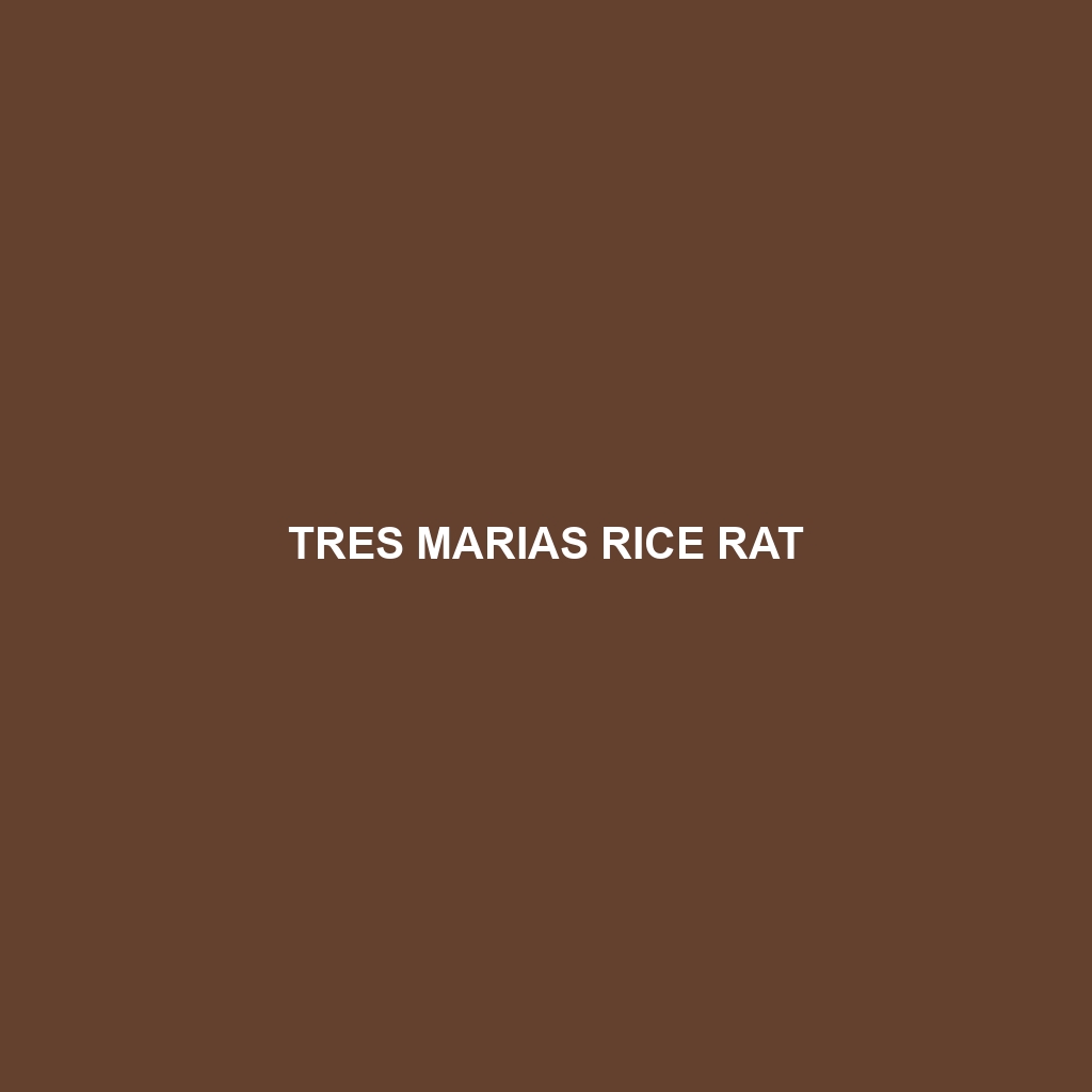 Tres Marias Rice Rat