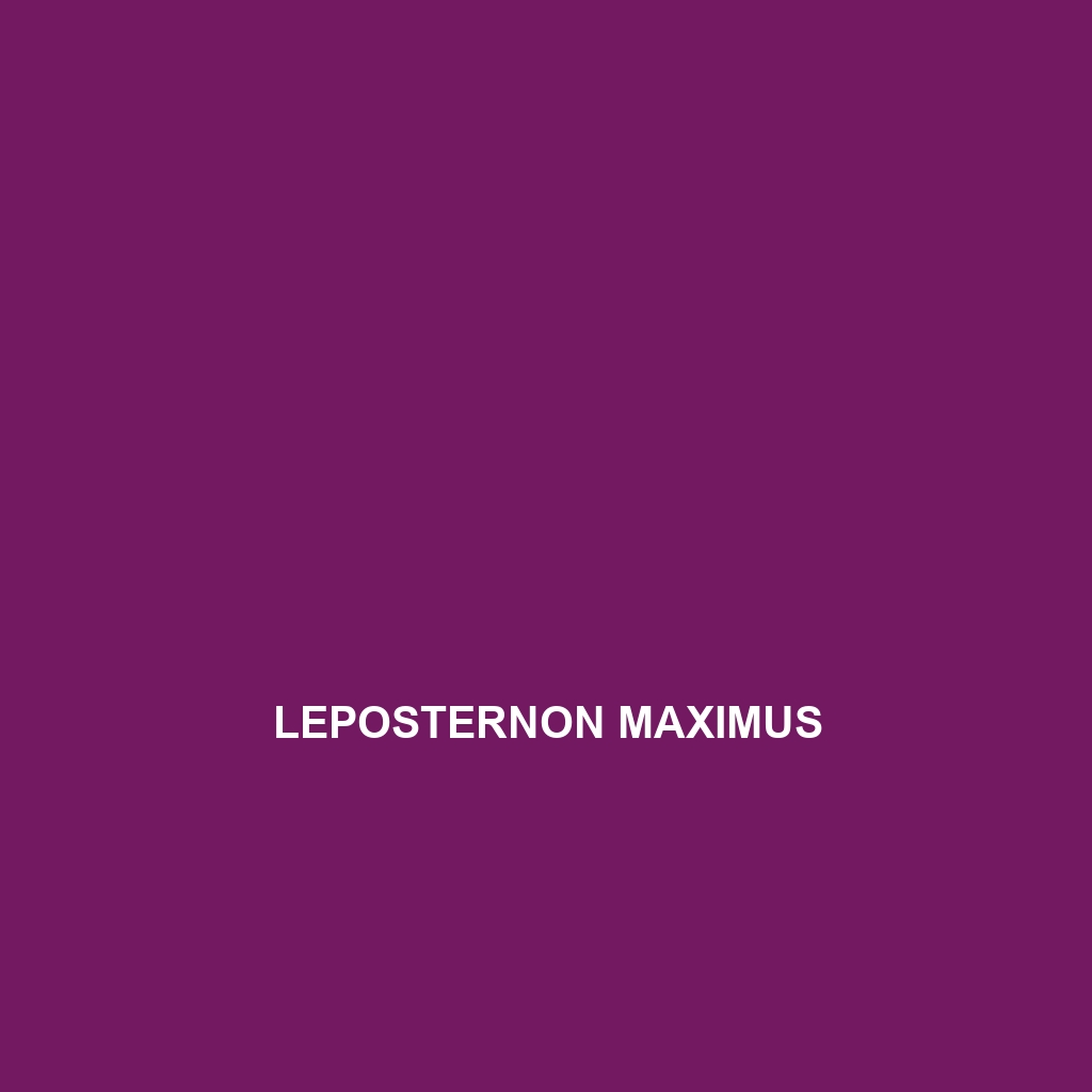 Leposternon maximus