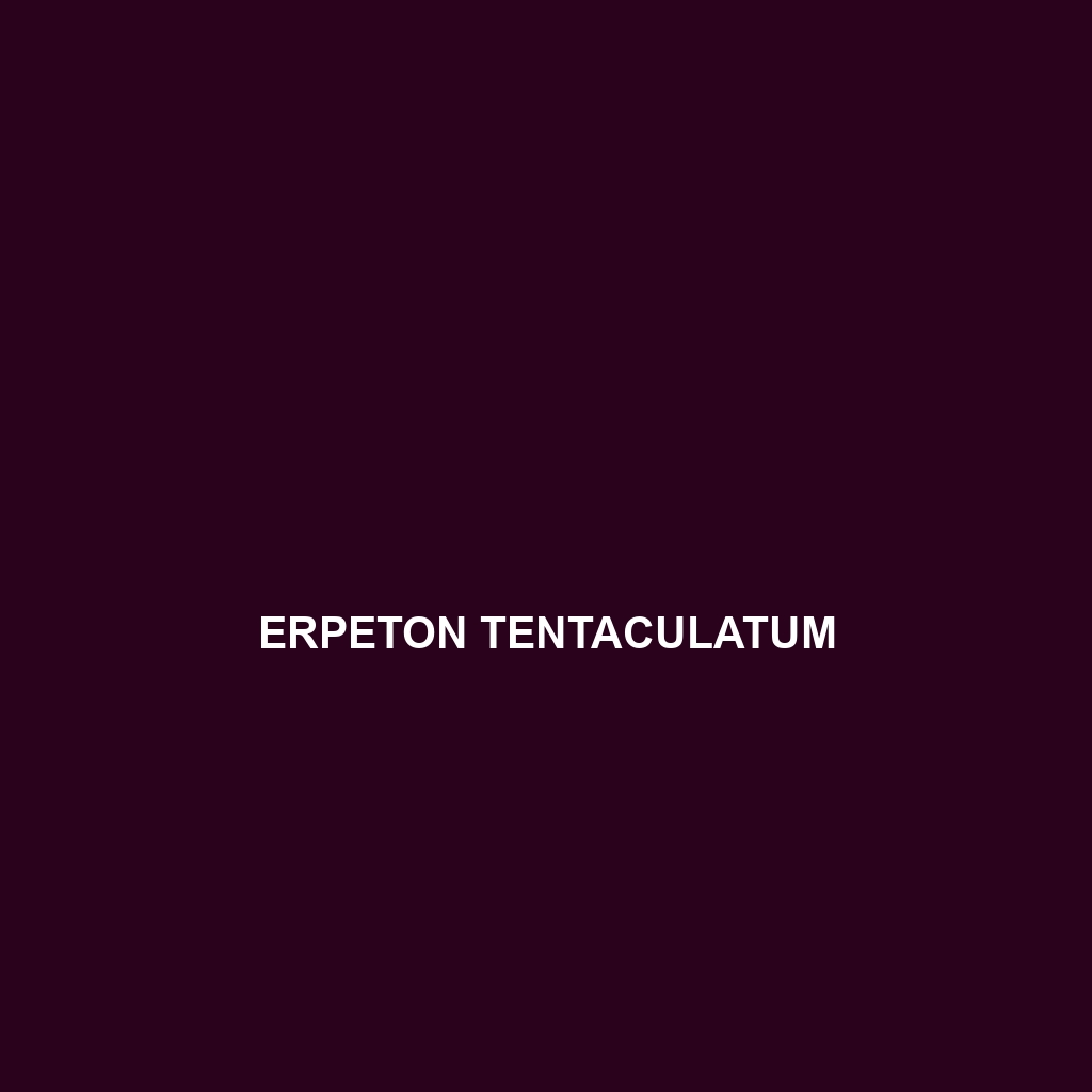 Erpeton tentaculatum