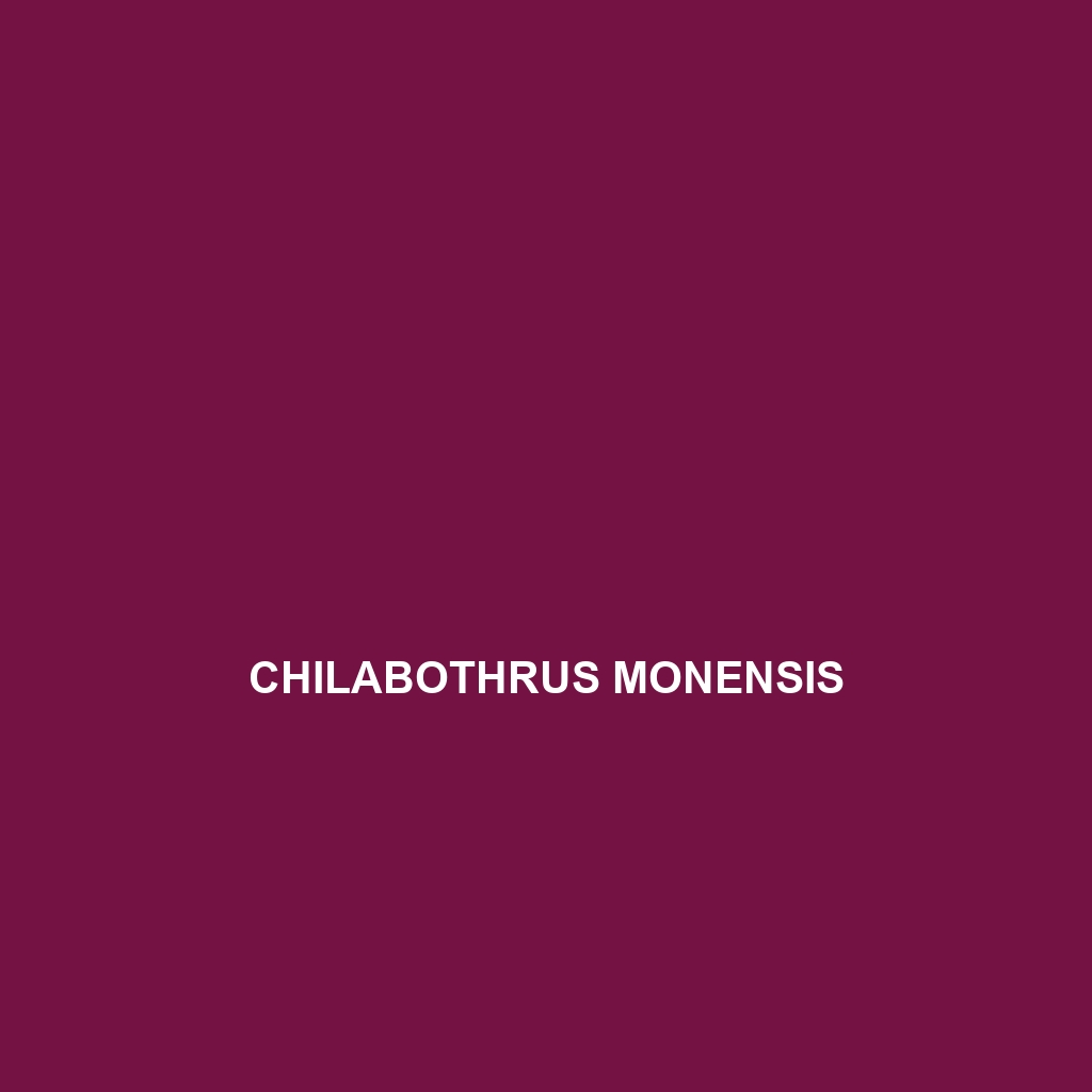 Chilabothrus monensis