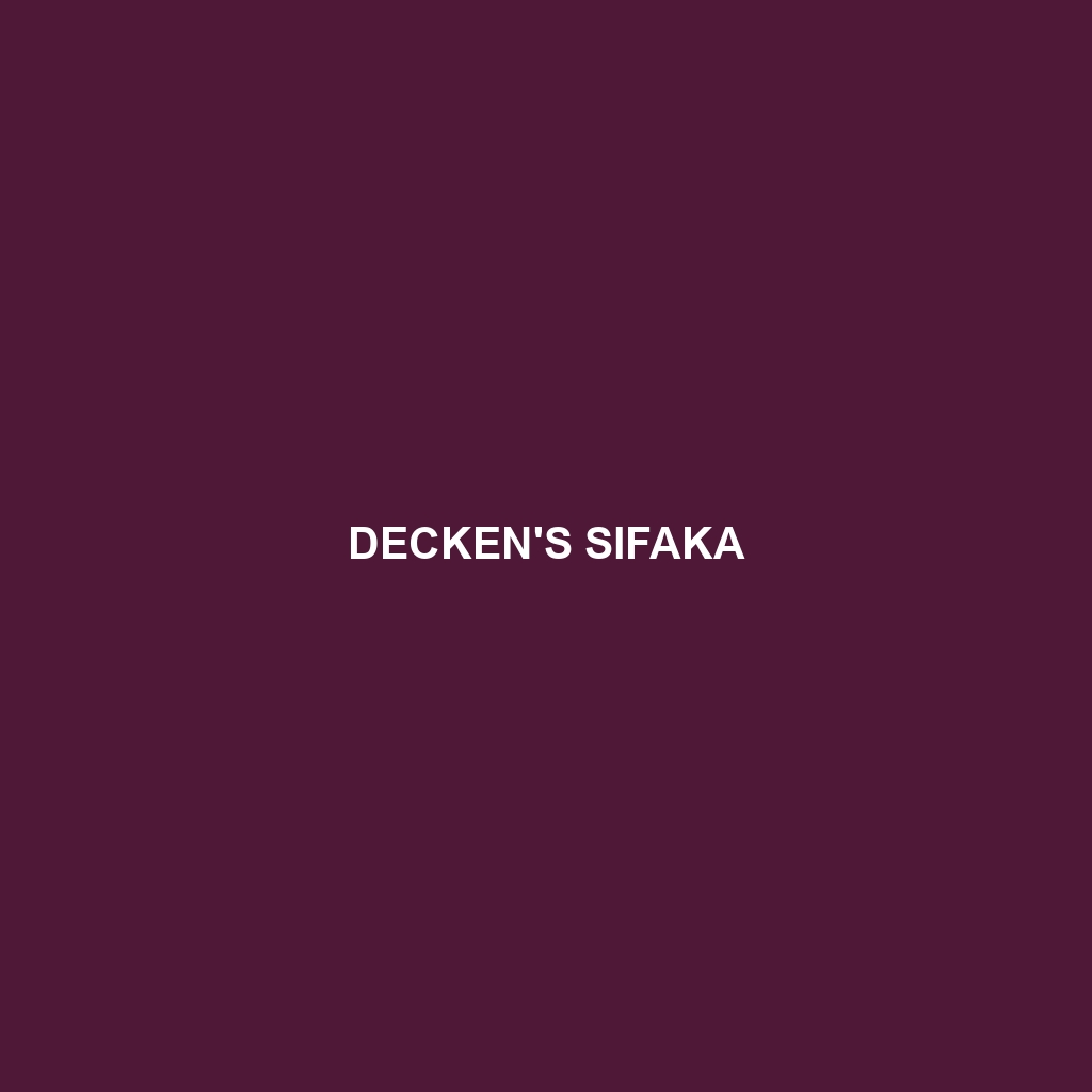 Decken's Sifaka