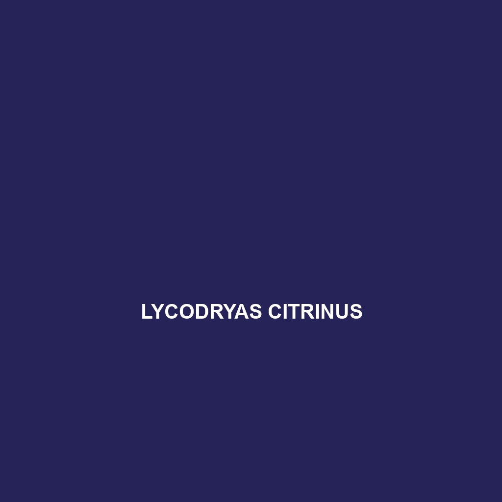 Lycodryas citrinus