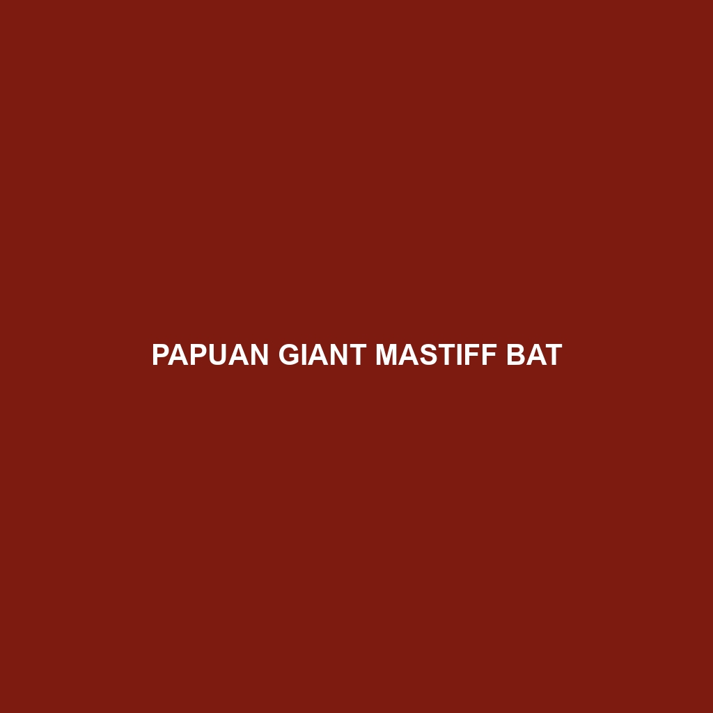 Papuan Giant Mastiff Bat