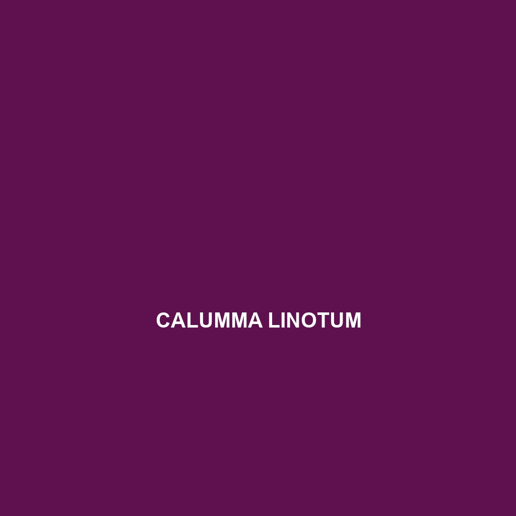 Calumma linotum