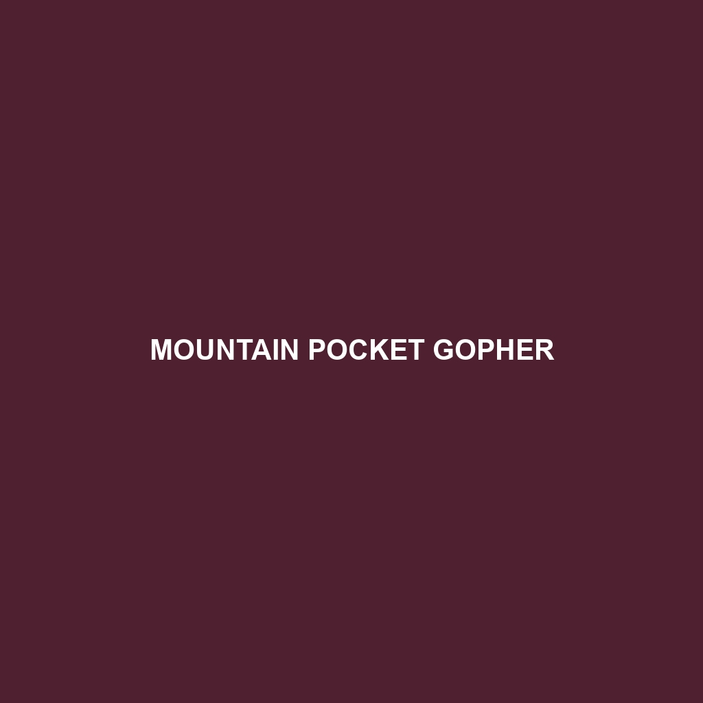 Mountain Pocket Gopher