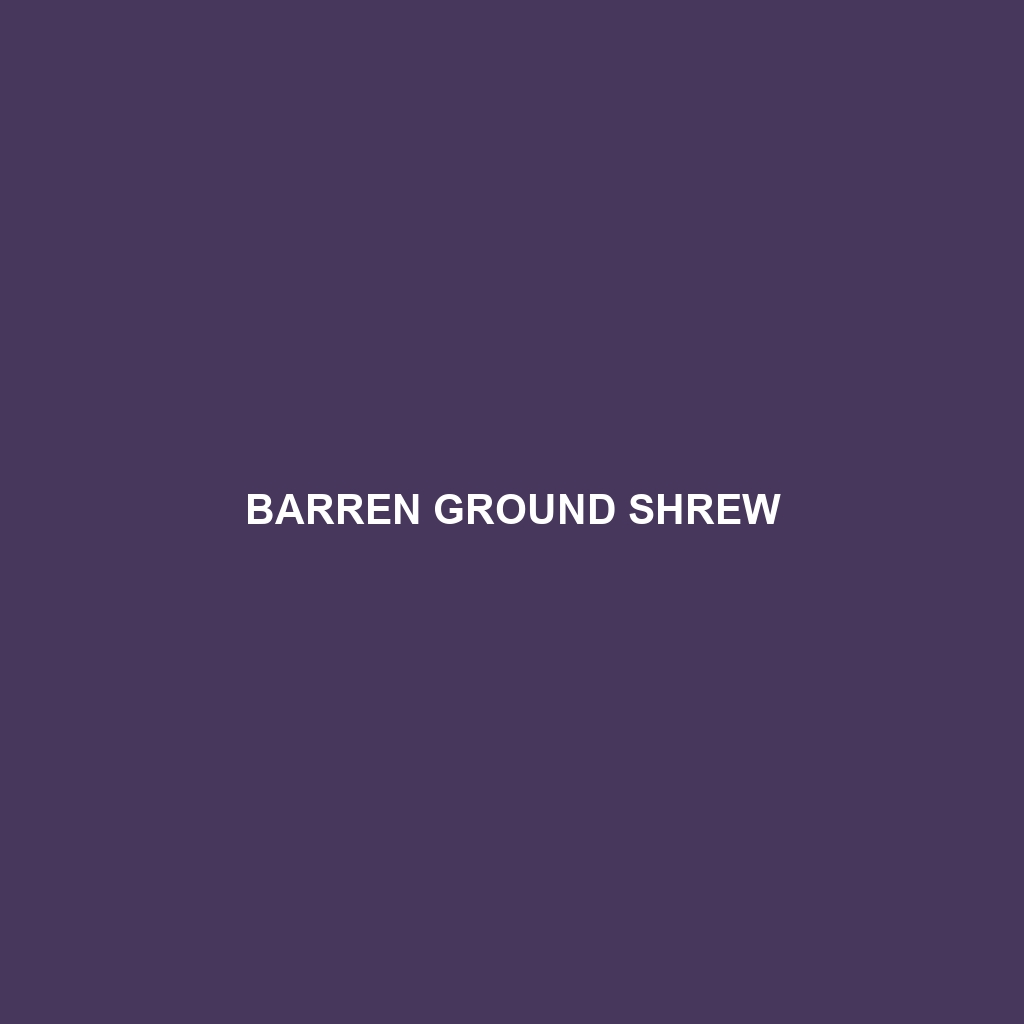 Barren Ground Shrew