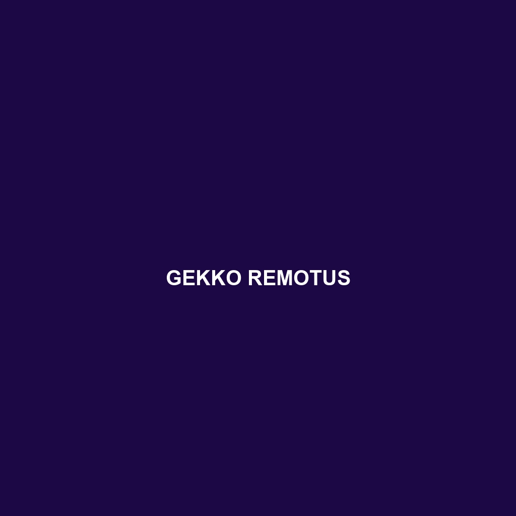 Gekko remotus