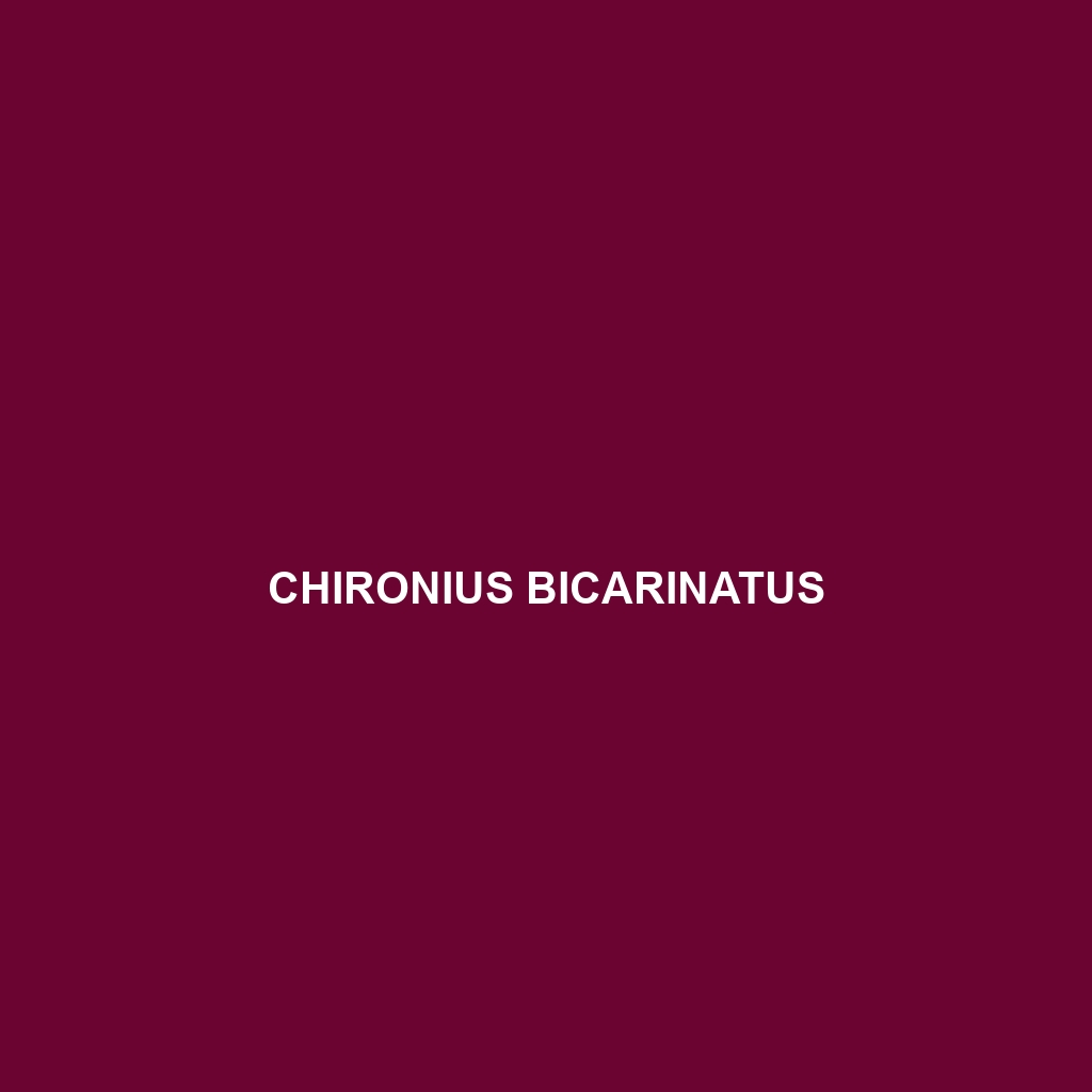 Chironius bicarinatus