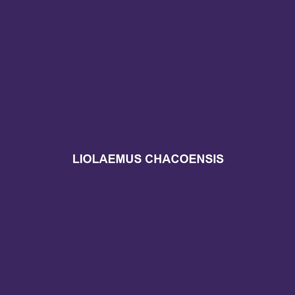 Liolaemus chacoensis