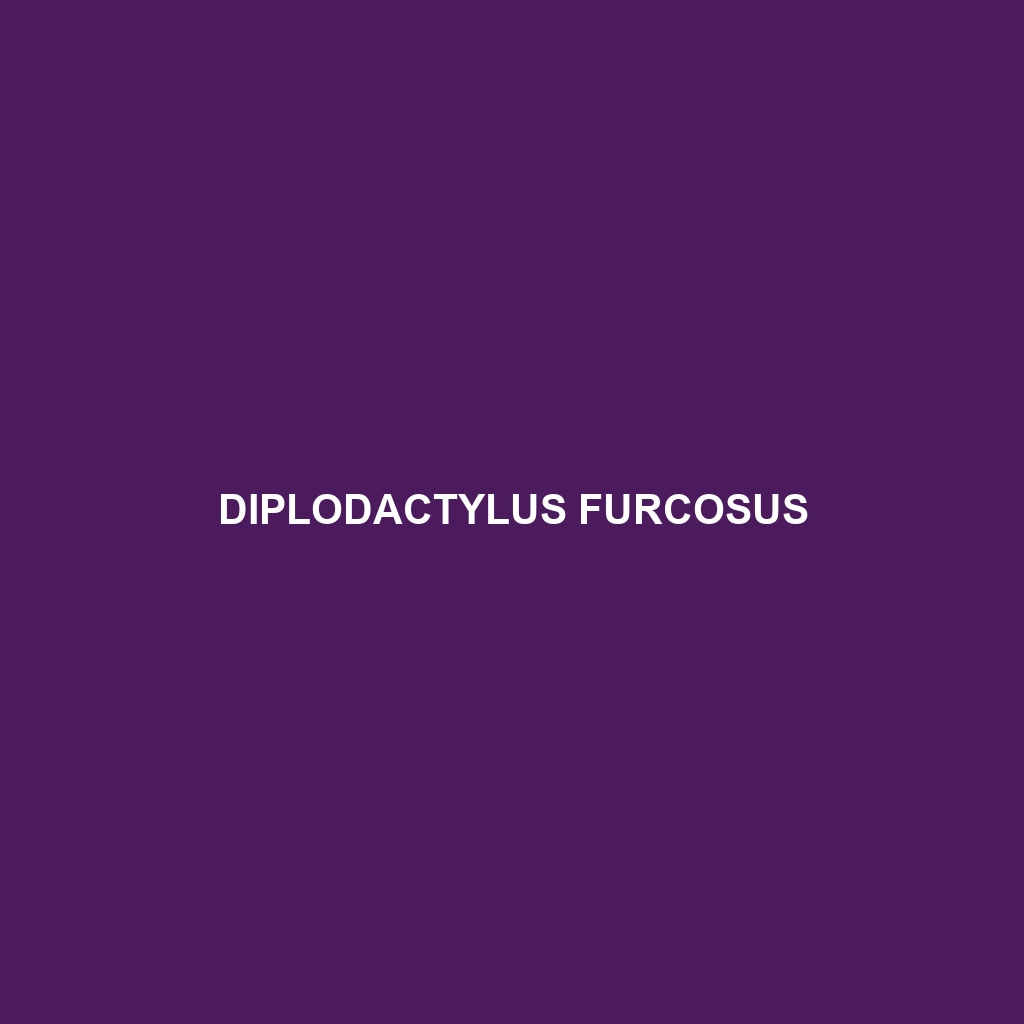 Diplodactylus furcosus