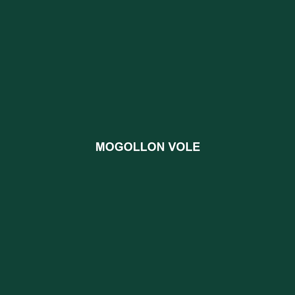 Mogollon Vole