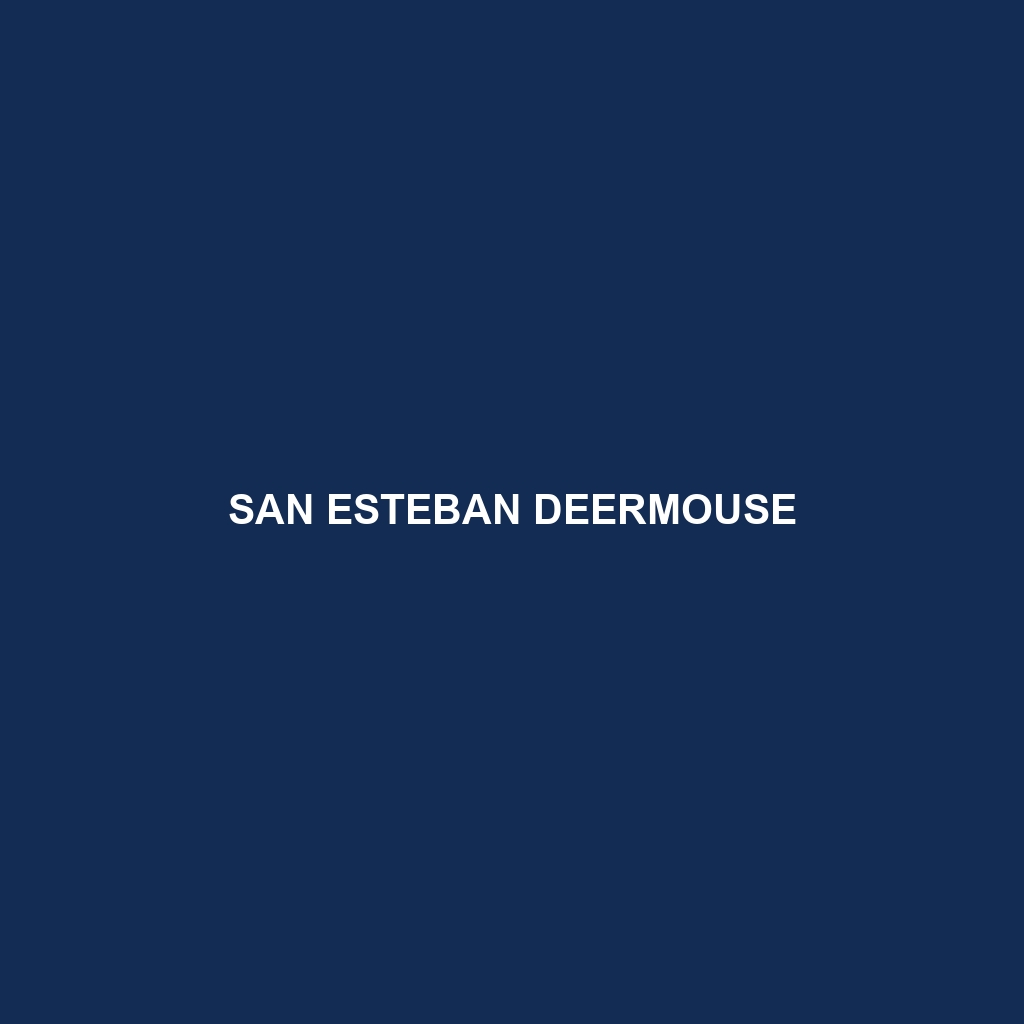 San Esteban Deermouse