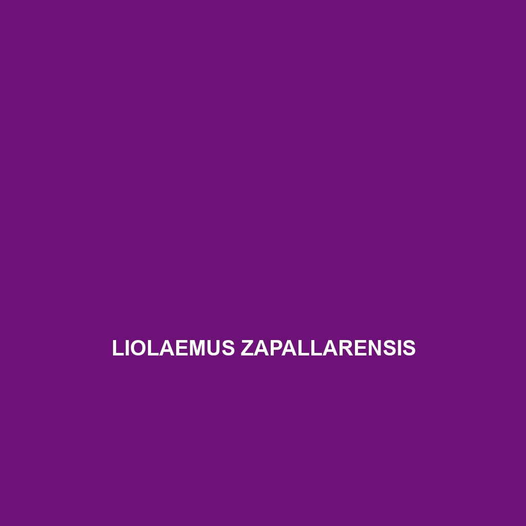 Liolaemus zapallarensis