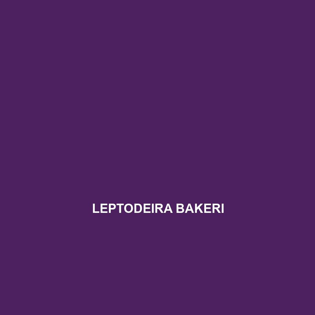 Leptodeira bakeri