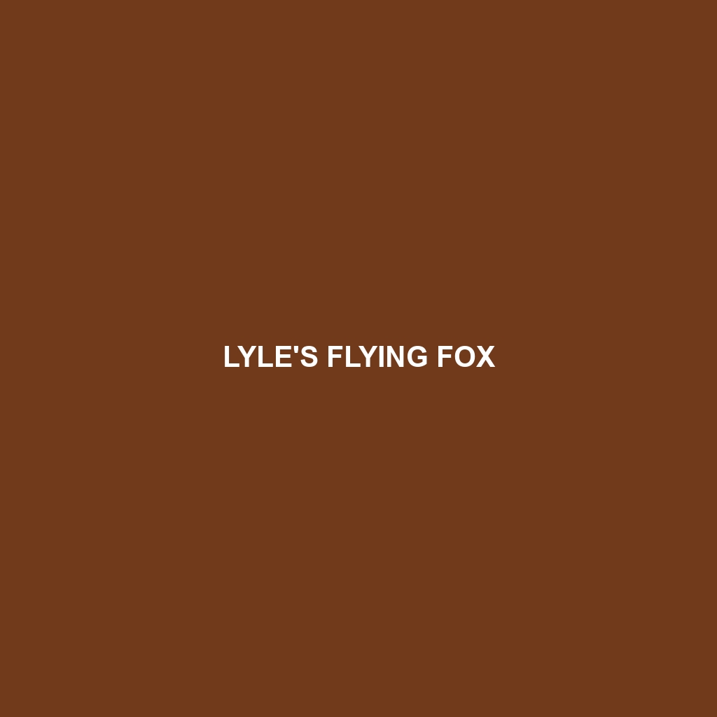 Lyle's Flying Fox