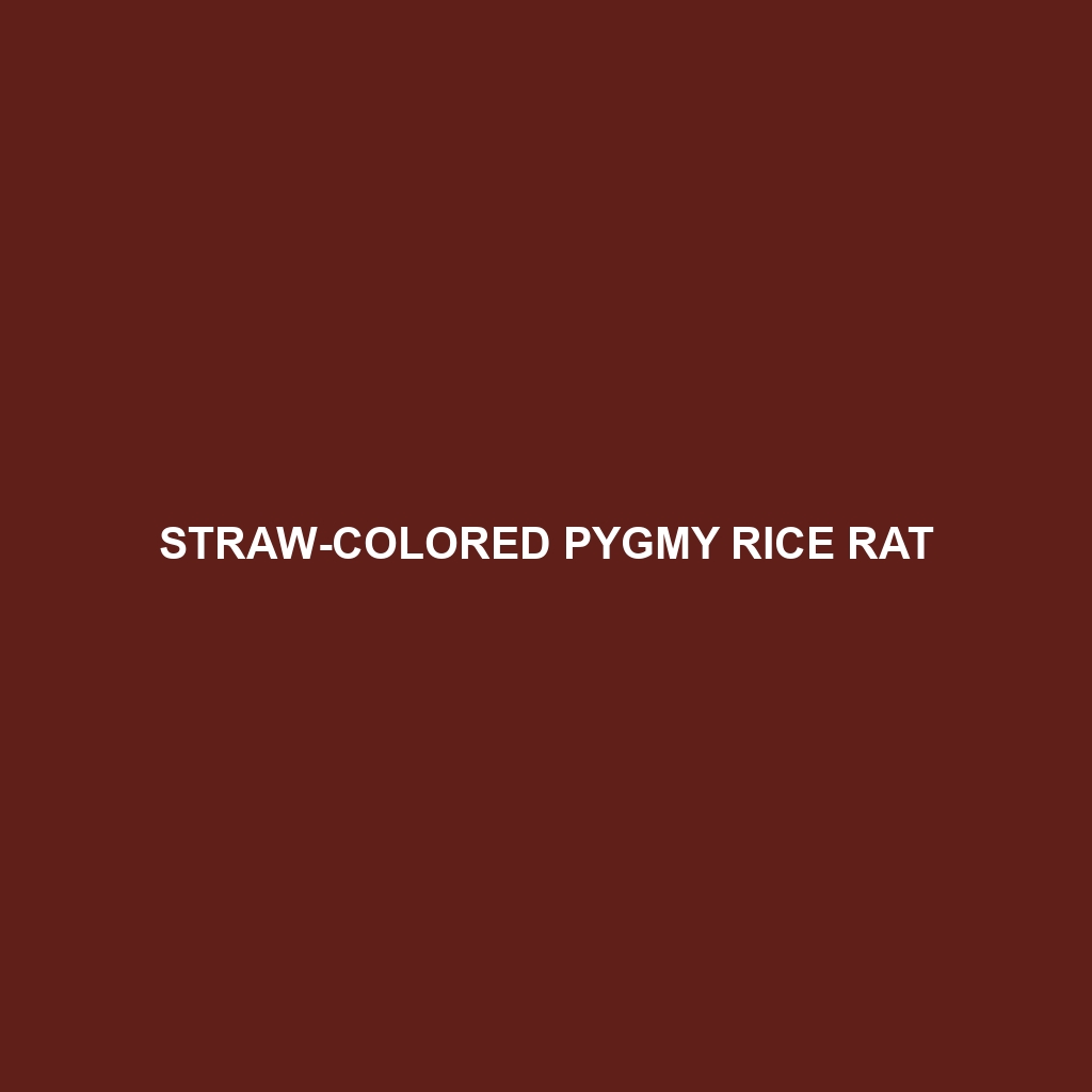 Straw-colored Pygmy Rice Rat