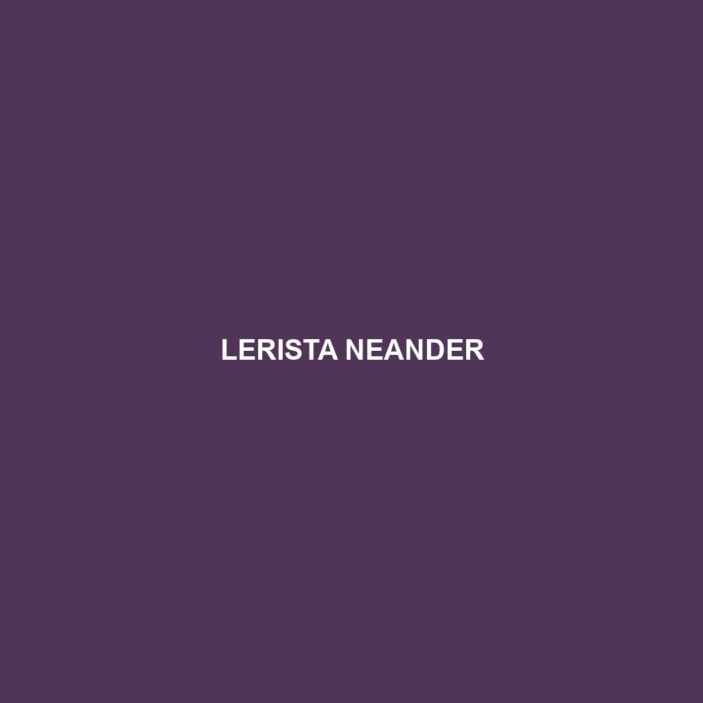 Lerista neander