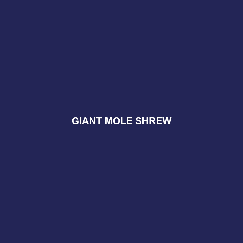 Giant Mole Shrew