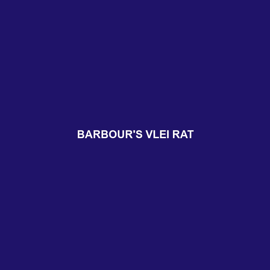 Barbour's Vlei Rat