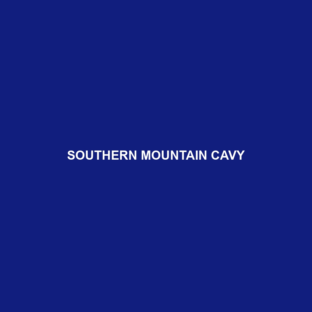 Southern Mountain Cavy