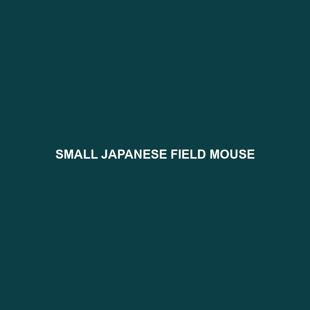 Small Japanese Field Mouse