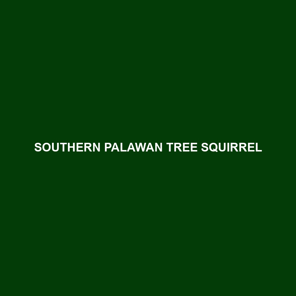 Southern Palawan Tree Squirrel