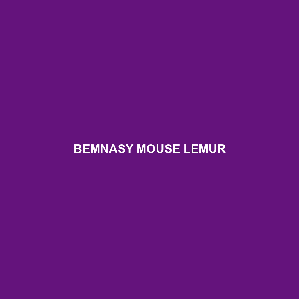 Margot Marsh's Mouse Lemur