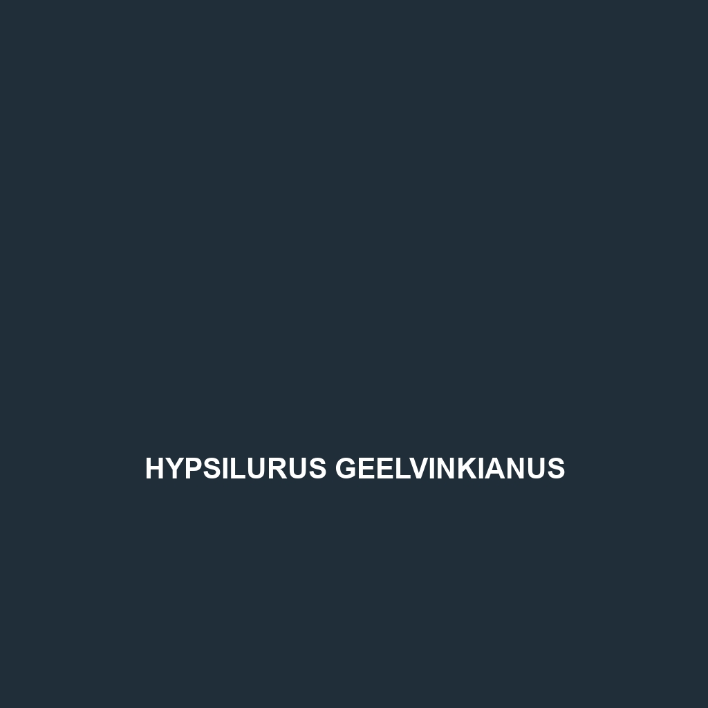 Hypsilurus geelvinkianus