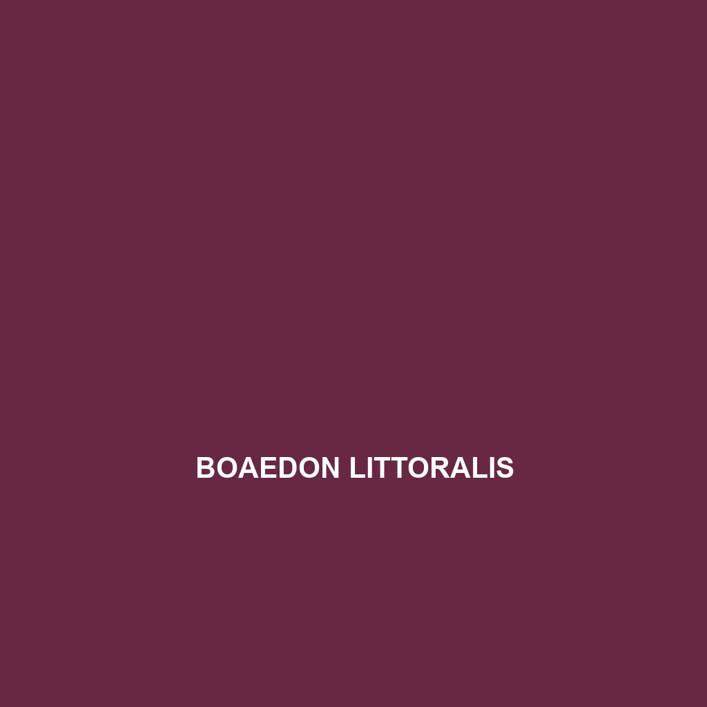 Boaedon littoralis