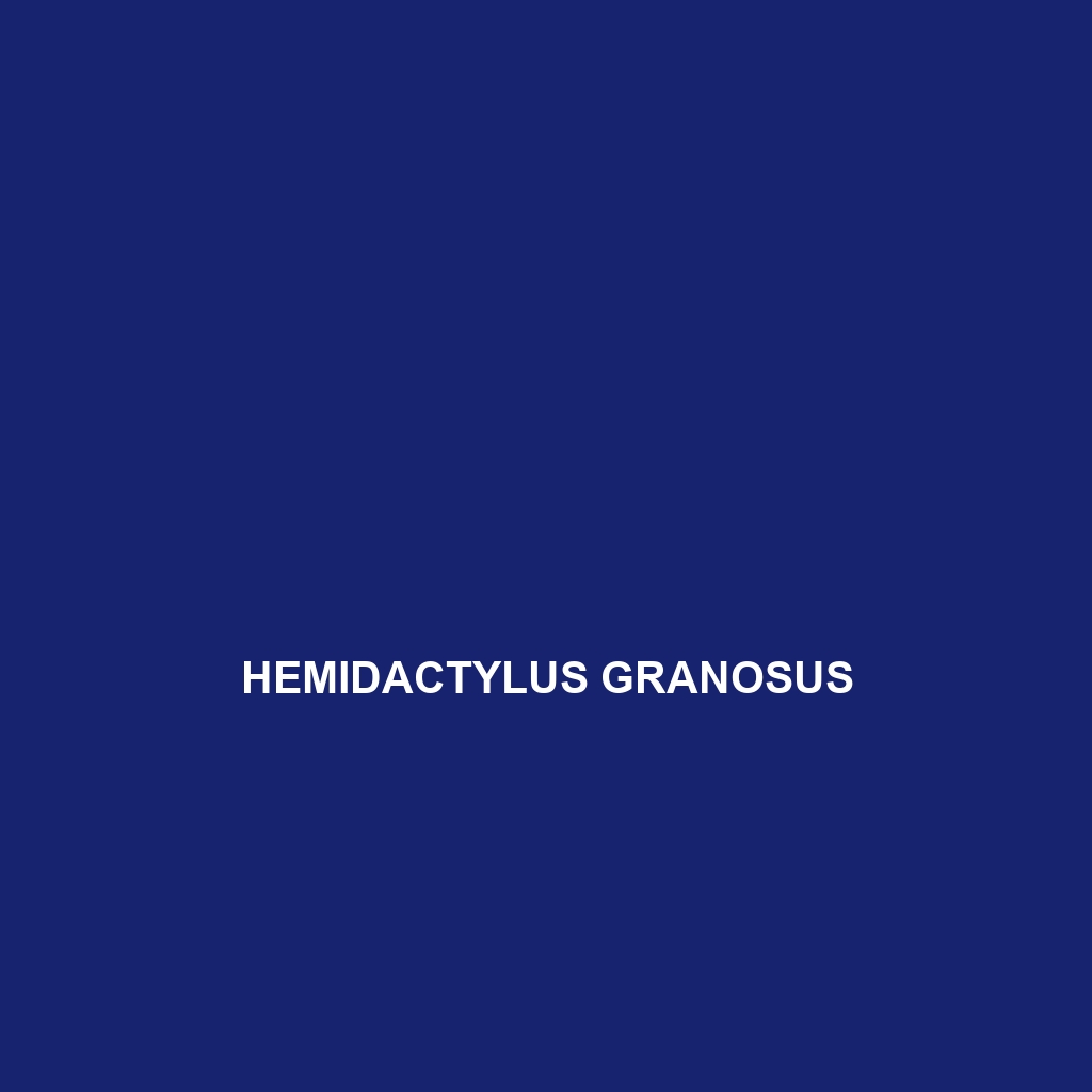 Hemidactylus graniticolus