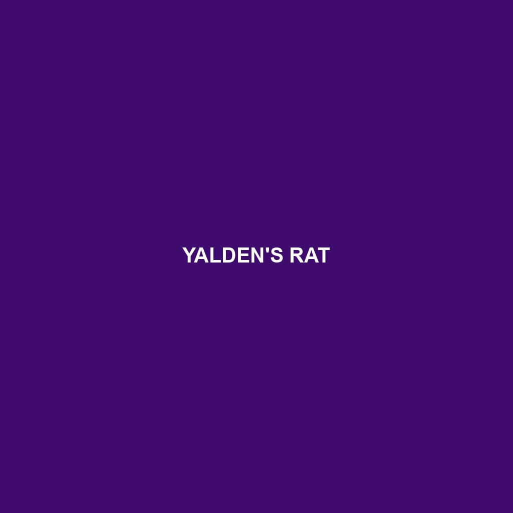 Yalden's Rat