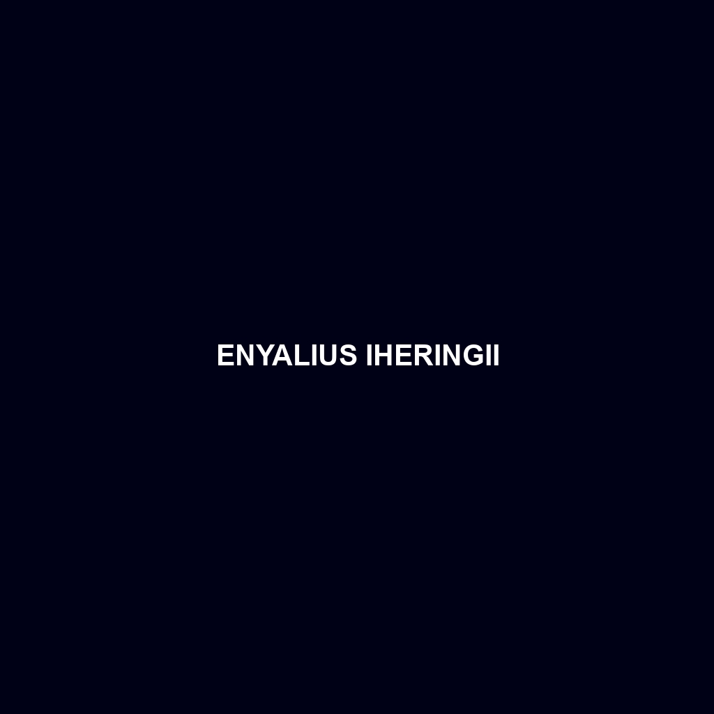 Enyalius iheringii