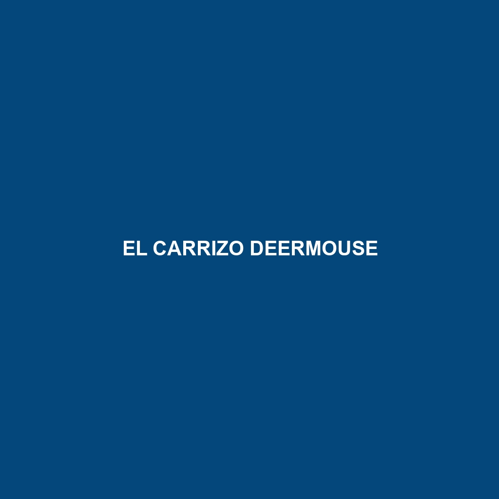 El Carrizo Deermouse