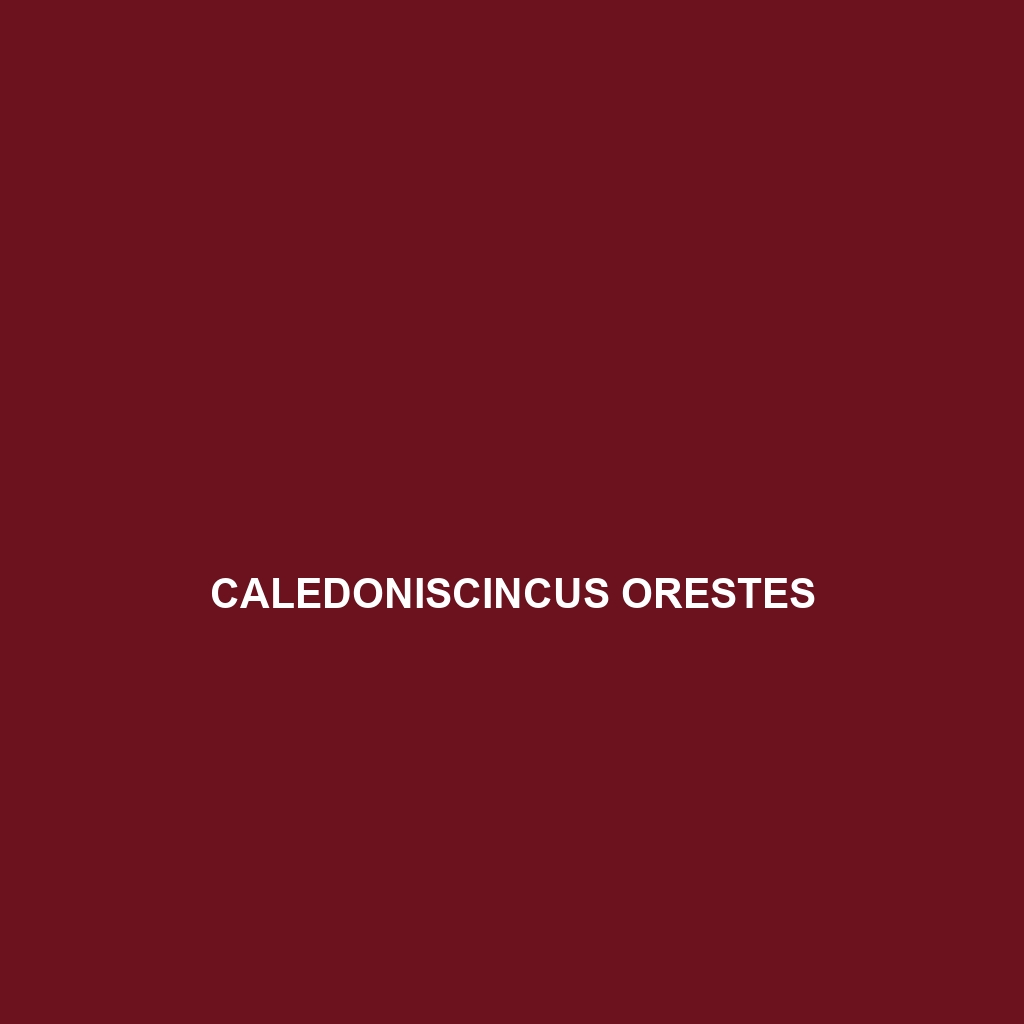 Caledoniscincus orestes