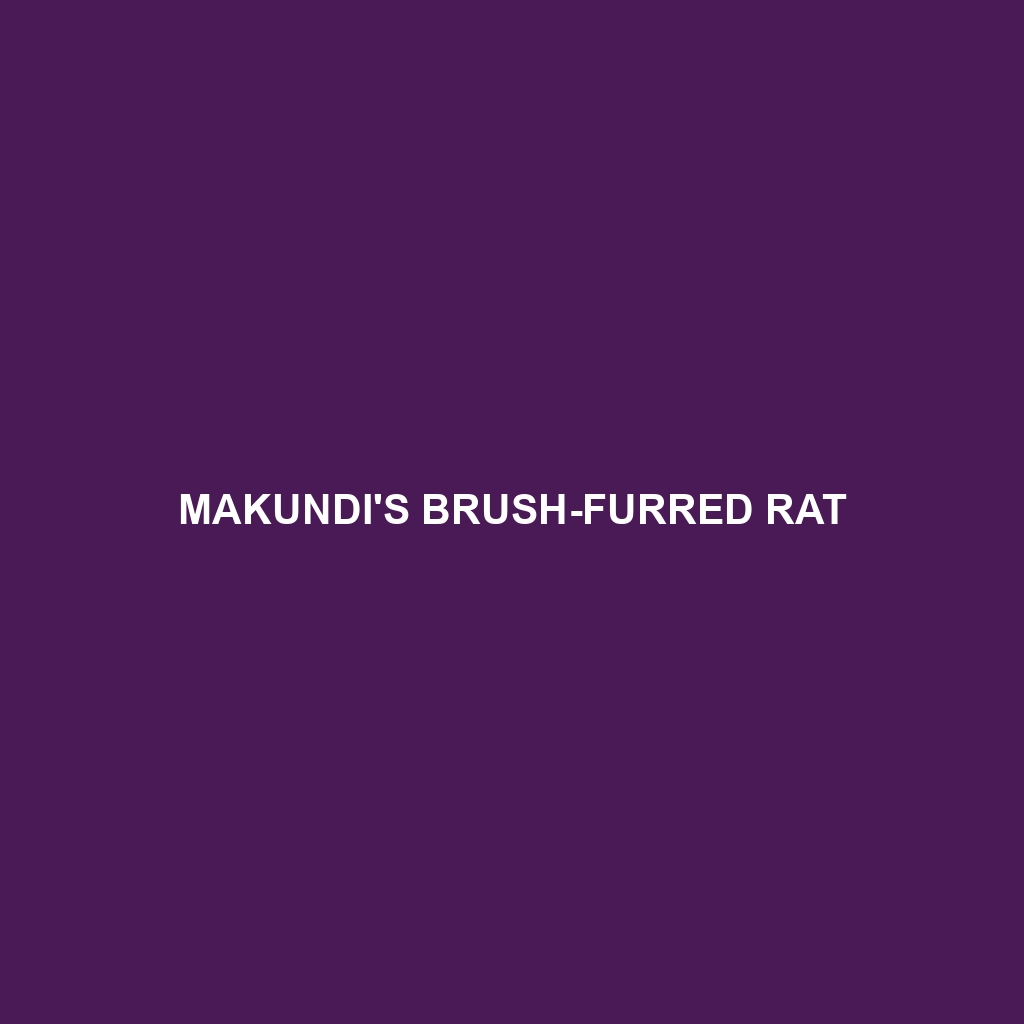 Makundi's Brush-furred Rat