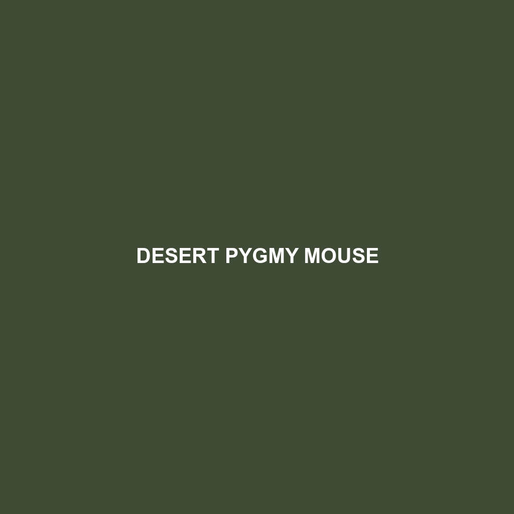 Desert Pygmy Mouse