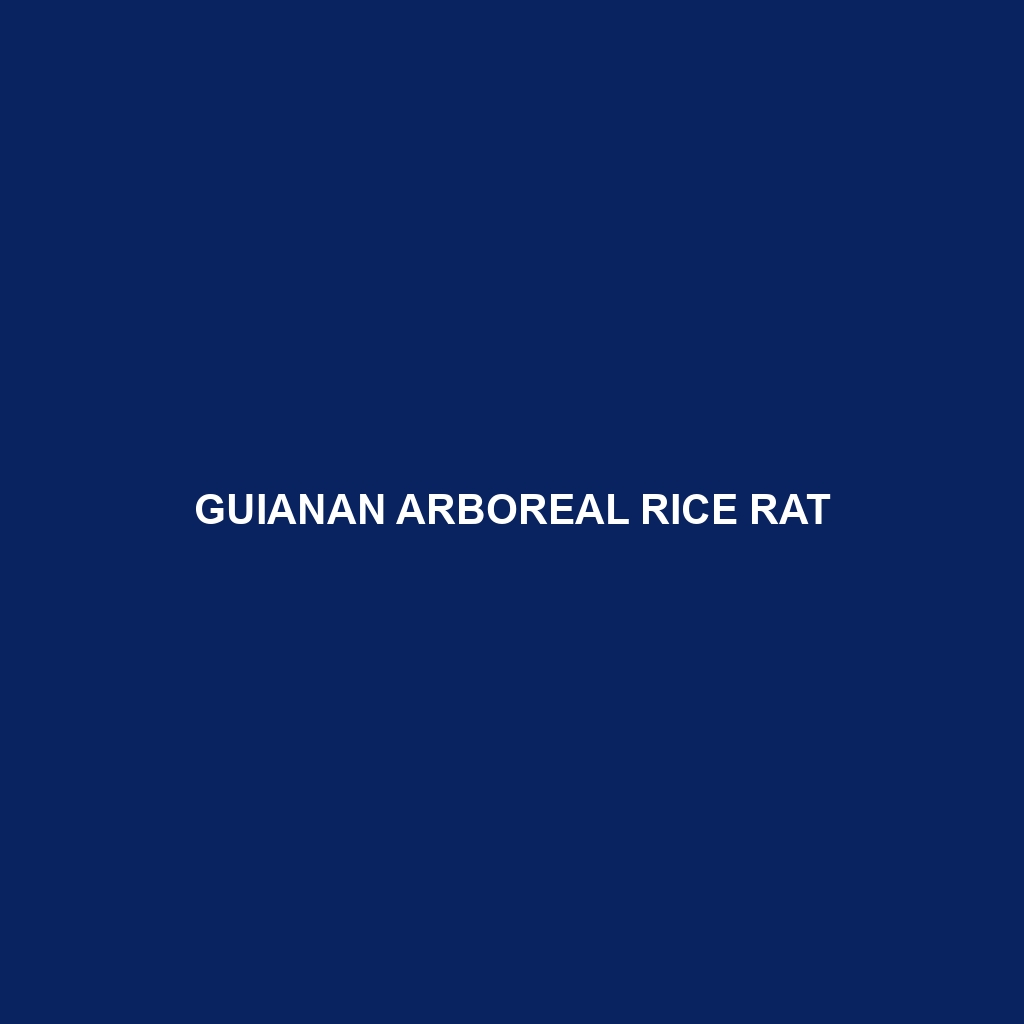 Guianan Arboreal Rice Rat